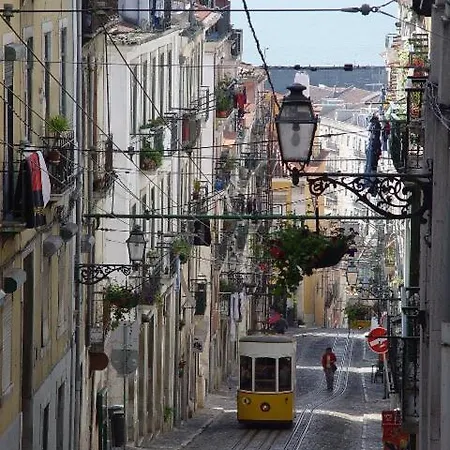 Charming In The Heart Of Lizbona